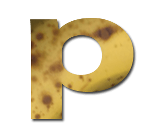 a large lower case letter p